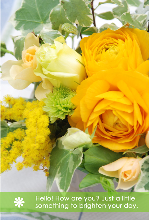 080301-yellow-flower.jpg